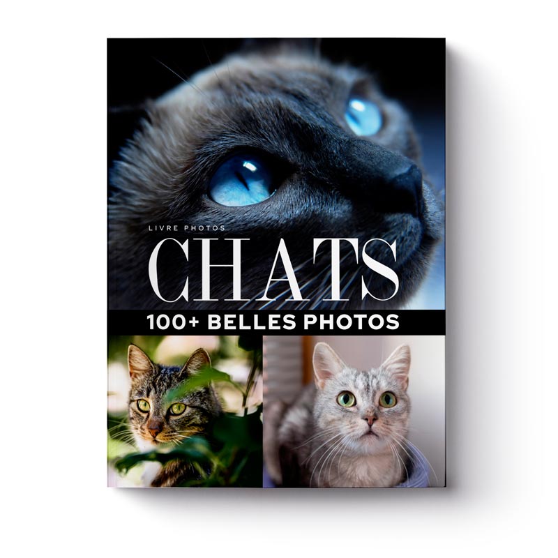 livre-100-plus-belles-photos-de-chats-1