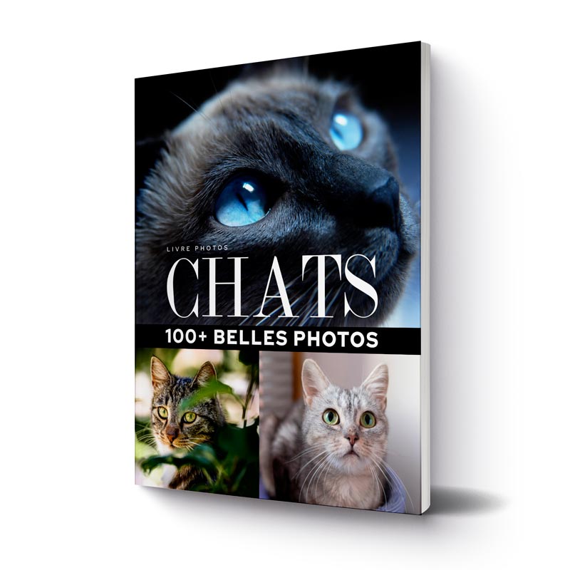 livre-100-plus-belles-photos-de-chats-2