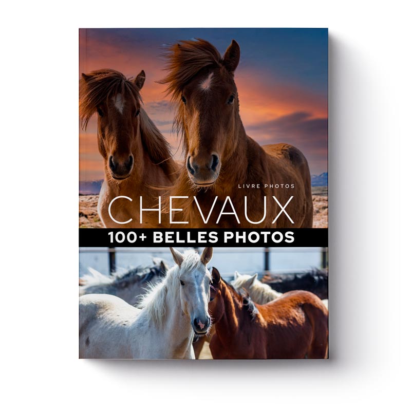 livre-100-plus-belles-photos-de-chevaux