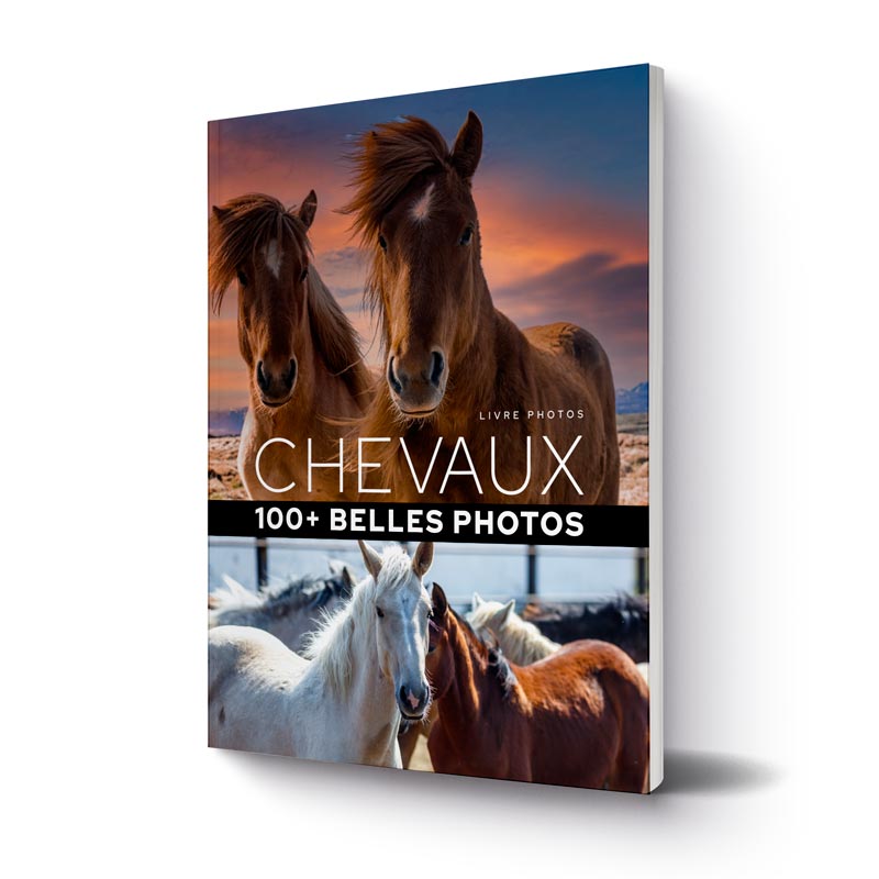 livre-100-plus-belles-photos-de-chevaux