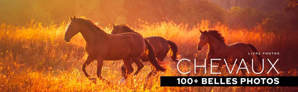 livre-100-plus-belles-photos-de-chevaux-cover-970x300