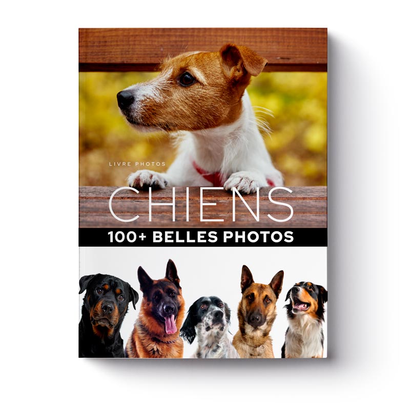 livre-100-plus-belles-photos-de-chiens-1