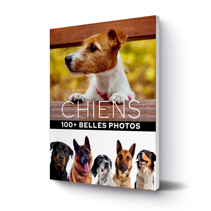 livre-100-plus-belles-photos-de-chiens-2