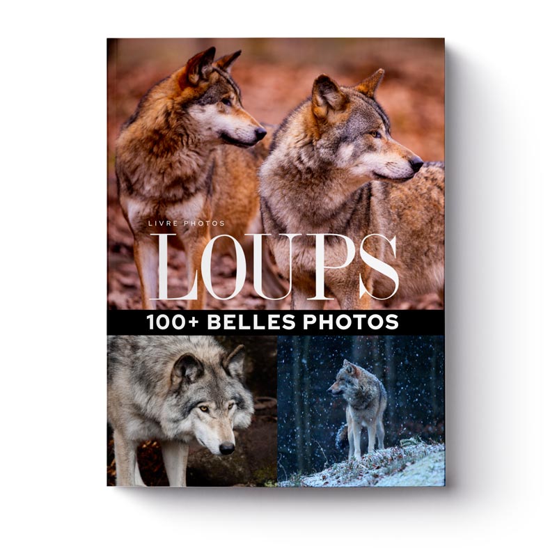 livre-100-plus-belles-photos-de-loups-1