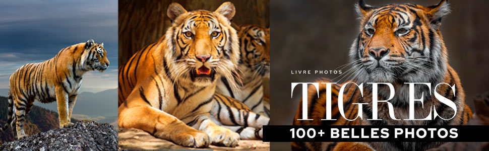 livre-100-plus-belles-photos-de-tigres-cover-970x300