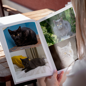 livre-photos-chats-03