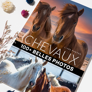 livre-photos-chevaux-01