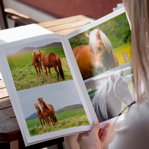 livre-photos-chevaux-03