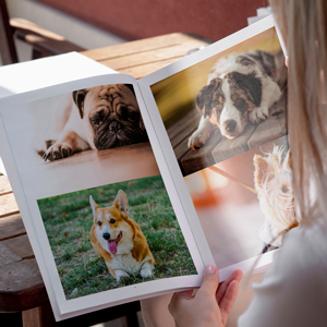 livre-photos-chiens-03