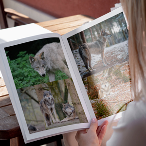 livre-photos-loups-03