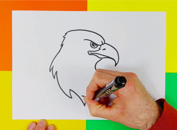 comment-dessiner-un-aigle-photo-2