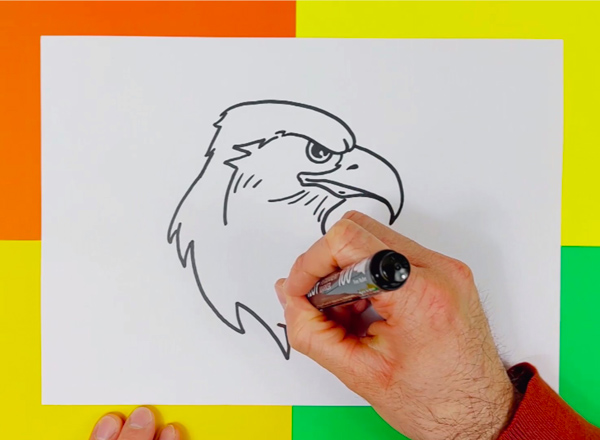 comment-dessiner-un-aigle-photo-3
