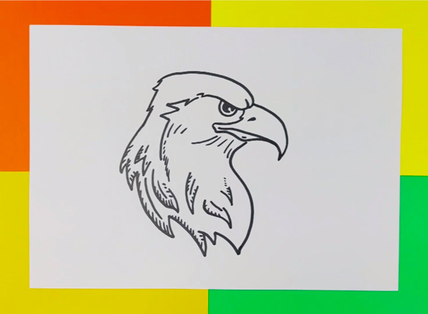 comment-dessiner-un-aigle-photo-4