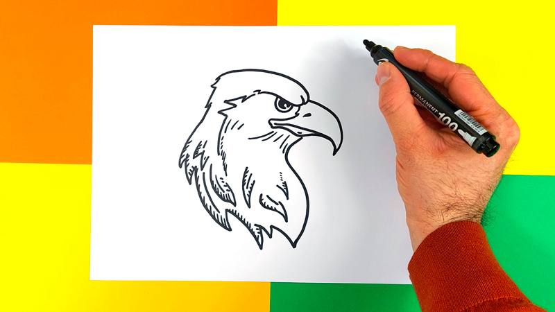 comment-dessiner-un-aigle
