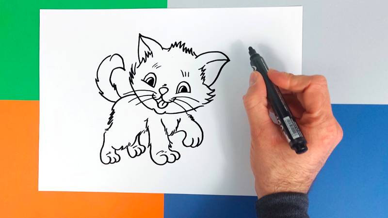 comment-dessiner-un-chaton