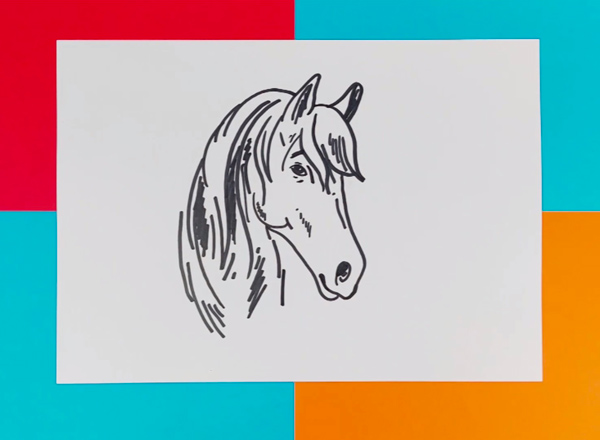 comment-dessiner-un-cheval-photo-4