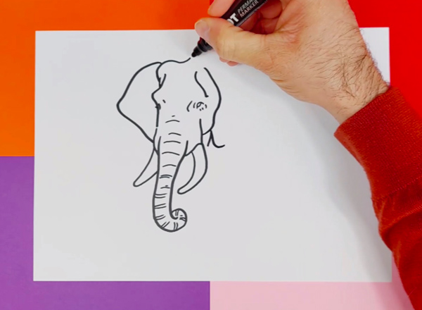 comment-dessiner-un-elephant-photo-2