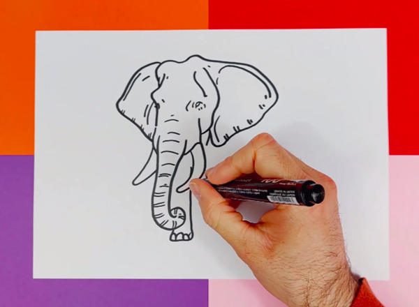 comment-dessiner-un-elephant-photo-3