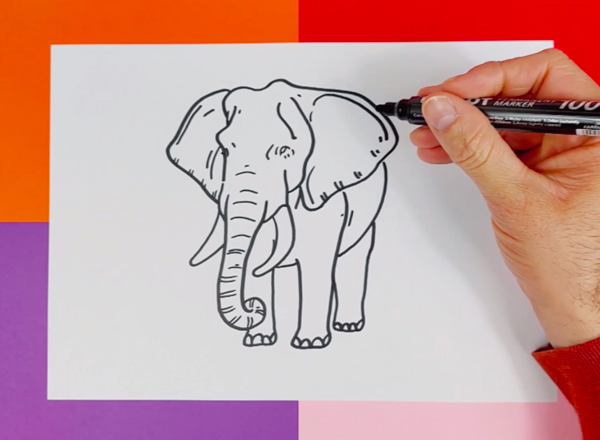 comment-dessiner-un-elephant-photo-4