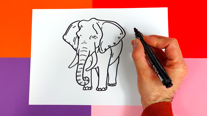 comment-dessiner-un-elephant