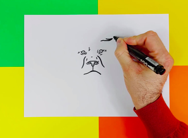 comment-dessiner-un-lion-photo-2