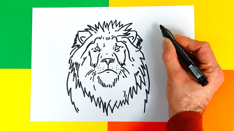 comment-dessiner-un-lion