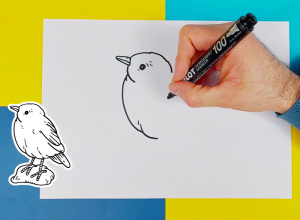 comment-dessiner-un-oiseau-photo-1