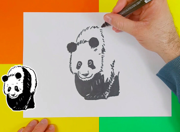 comment-dessiner-un-panda-photo-3