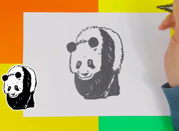 comment-dessiner-un-panda-photo-4