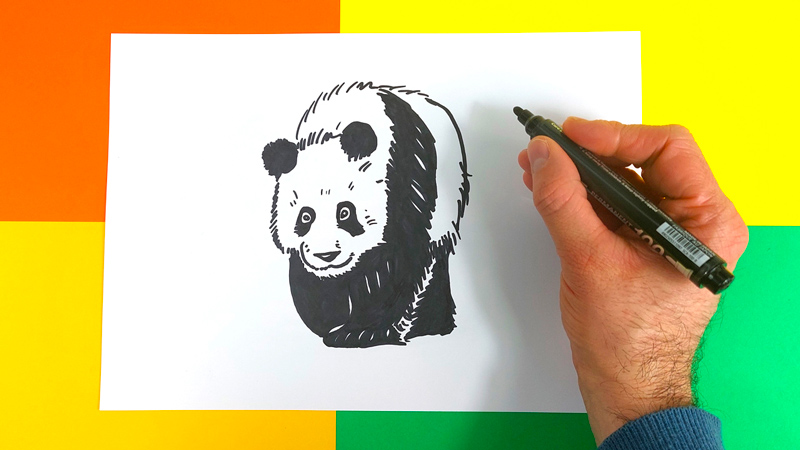 comment-dessiner-un-panda