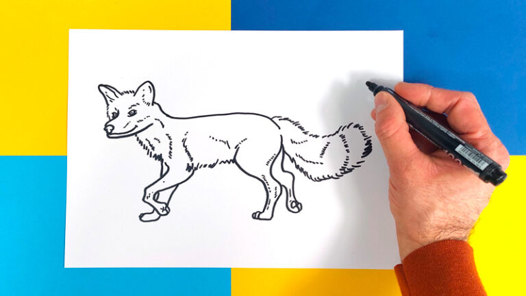 Comment Dessiner Un Renard Kawaii