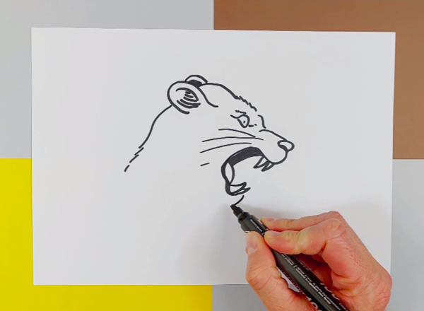 comment-dessiner-une-lionne-qui-rugit-photo-3