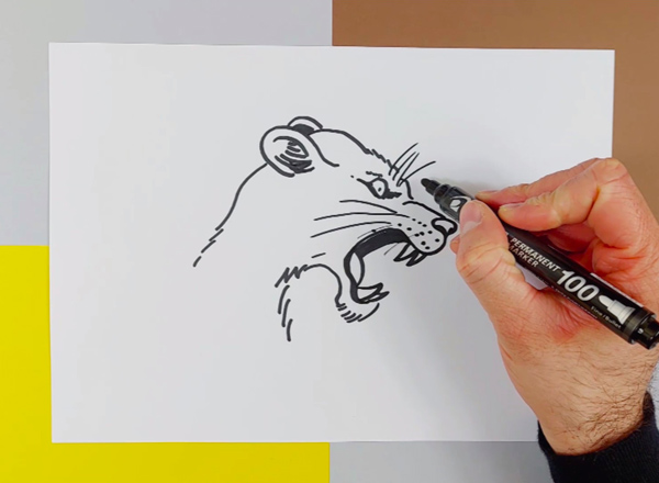 comment-dessiner-une-lionne-qui-rugit-photo-4